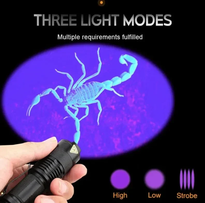 UV LED Flashlight Stain Detection Pet Urine Finder