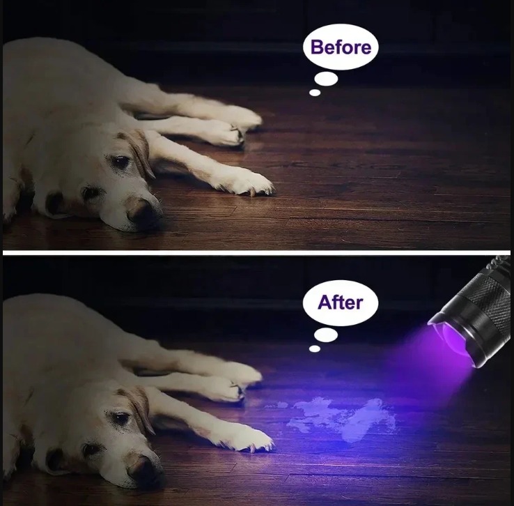 UV LED Flashlight Stain Detection Pet Urine Finder