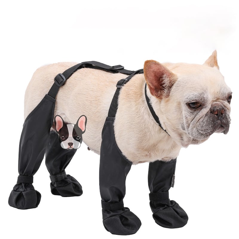 Waterproof Dog Boots for Paw Protection – Non-Slip All-Weather Dog Shoes
