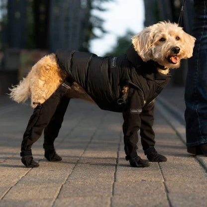 Waterproof Dog Boots for Paw Protection – Non-Slip All-Weather Dog Shoes