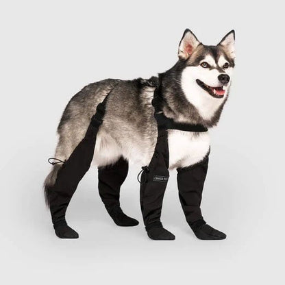 Waterproof Dog Boots for Paw Protection – Non-Slip All-Weather Dog Shoes
