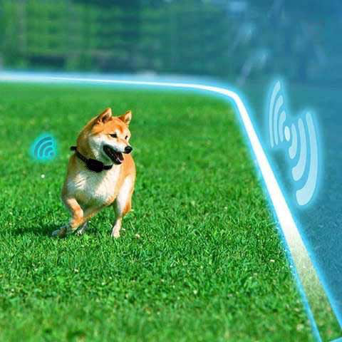 Wireless Dog Fence System Adjustable Range Rechargeable Collar