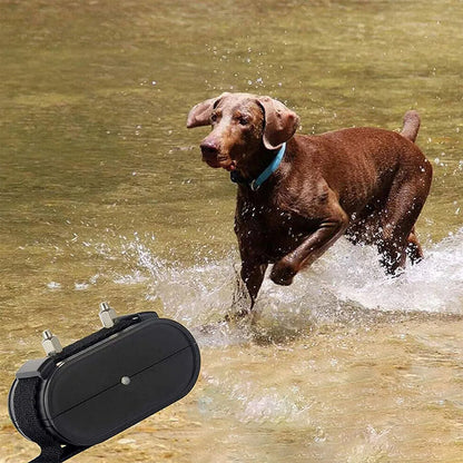 Wireless Dog Fence System Adjustable Range Rechargeable Collar